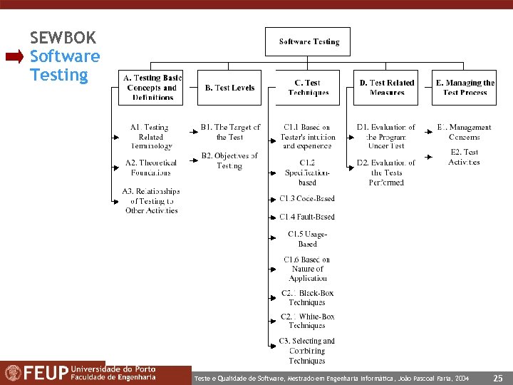 SEWBOK Software Testing Teste e Qualidade de Software, Mestrado em Engenharia Informática, João Pascoal