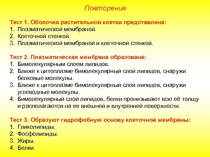 Повторение Тест 1. Оболочка растительной клетки представлена: 1. Плазматической мембраной. 2. Клеточной стенкой. 3.