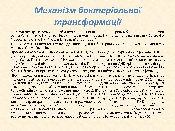 Механізм бактеріальної трансформації У результаті трансформації відбувається генетична рекомбінація між бактеріальними клітинами. Невеликі фрагментипозаклітинної
