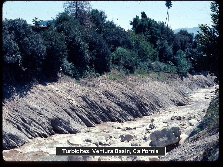 Turbidites, Ventura Basin, California 