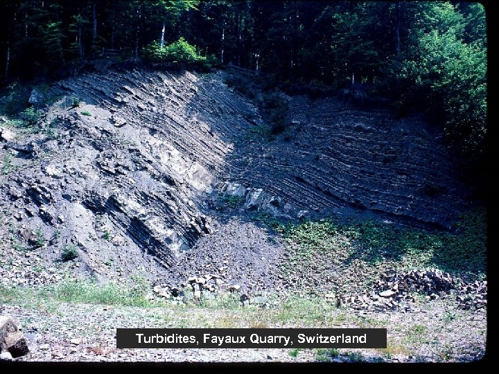 Turbidites, Fayaux Quarry, Switzerland 