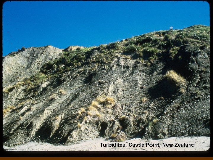Turbidites, Castle Point, New Zealand 