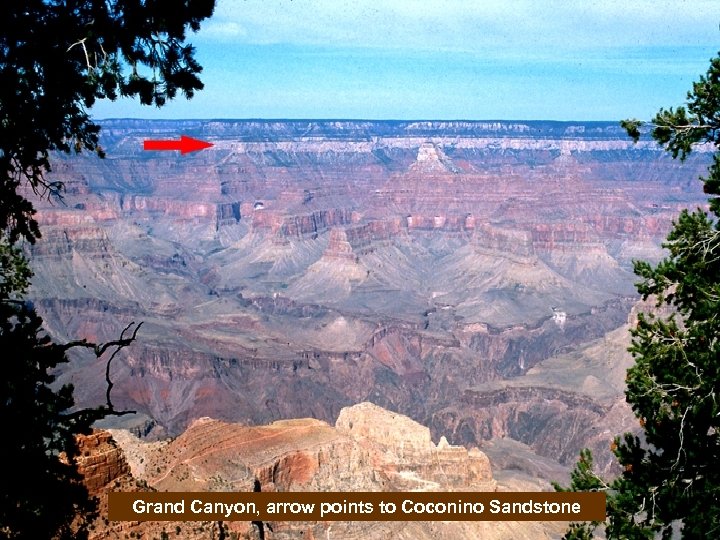 Grand Canyon, arrow points to Coconino Sandstone 