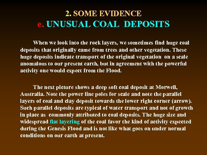 2. SOME EVIDENCE e. UNUSUAL COAL DEPOSITS When we look into the rock layers,