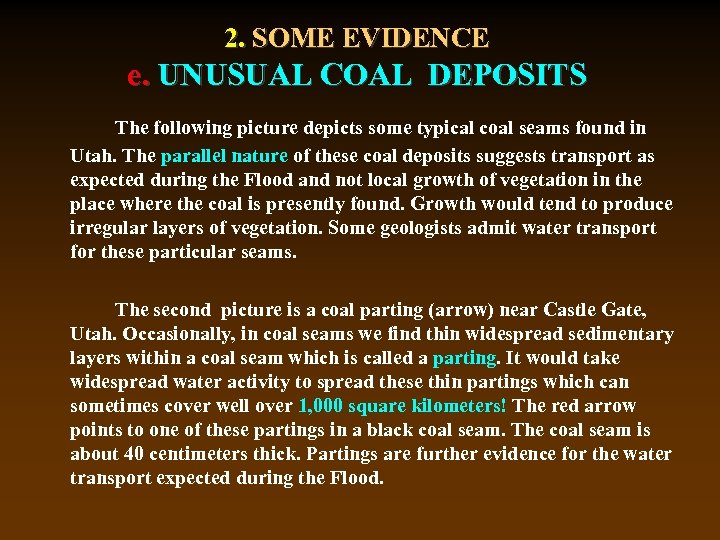 2. SOME EVIDENCE e. UNUSUAL COAL DEPOSITS The following picture depicts some typical coal