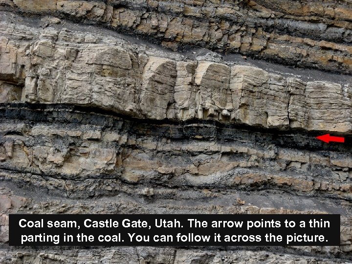 Coal seam, Castle Gate, Utah. The arrow points to a thin parting in the