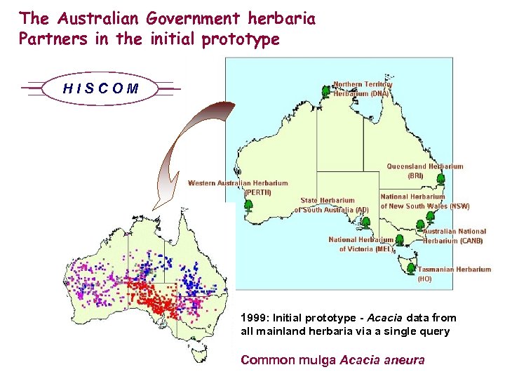 The Australian Government herbaria Partners in the initial prototype HISCOM 1999: Initial prototype -