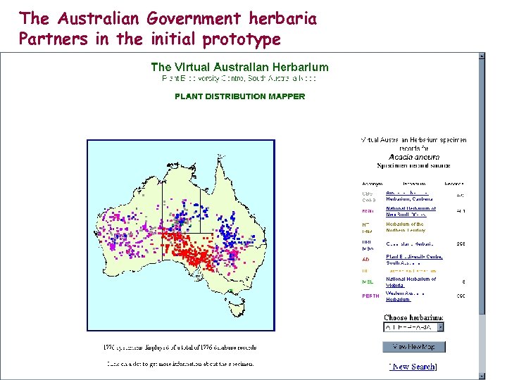 The Australian Government herbaria Partners in the initial prototype 