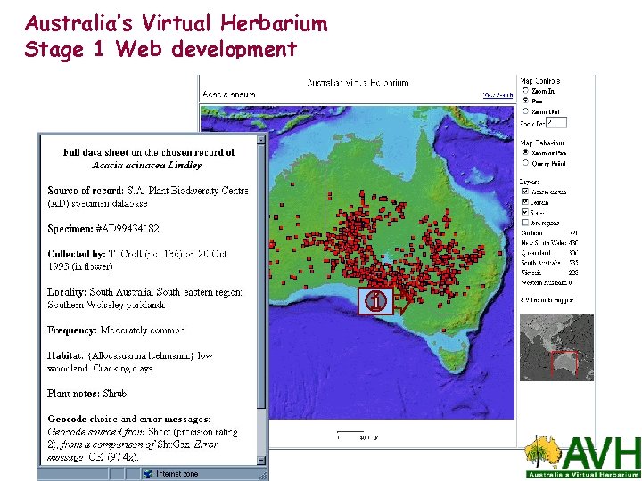 Australia’s Virtual Herbarium Stage 1 Web development 