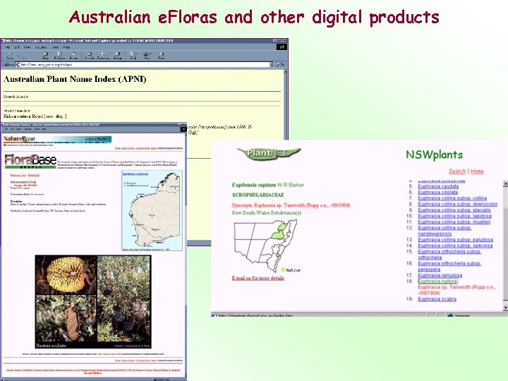 Australian e. Floras and other digital products 