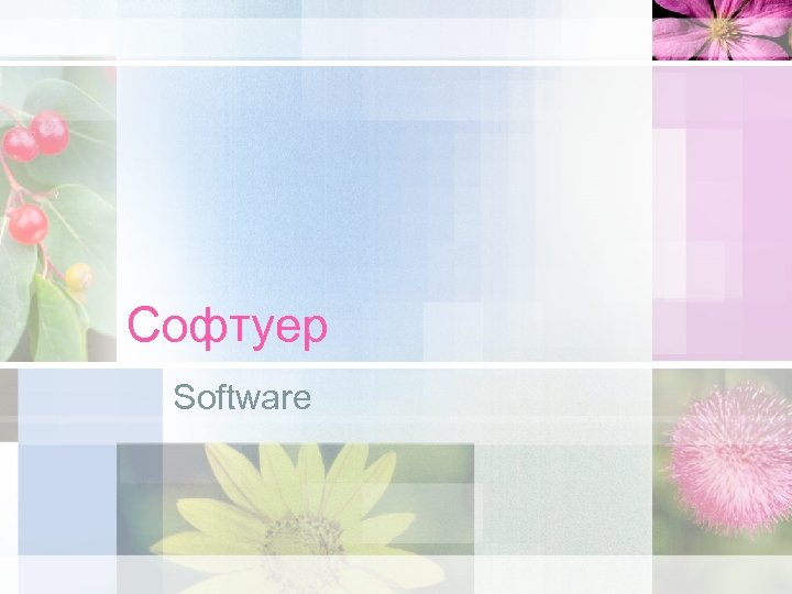 Софтуер Software 