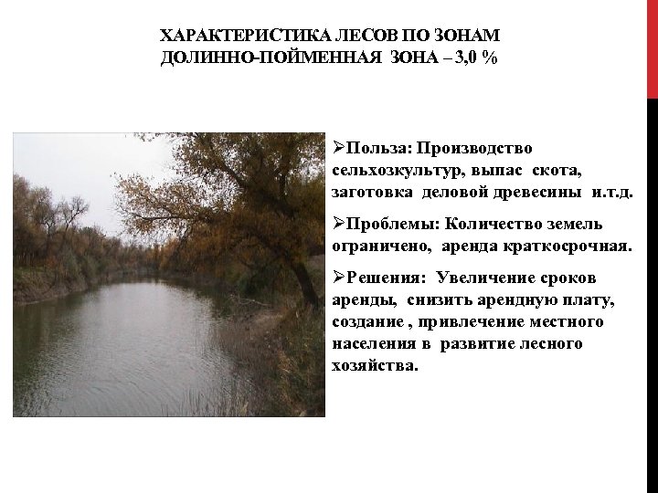 ХАРАКТЕРИСТИКА ЛЕСОВ ПО ЗОНАМ ДОЛИННО-ПОЙМЕННАЯ ЗОНА – 3, 0 % ØПольза: Производство сельхозкультур, выпас