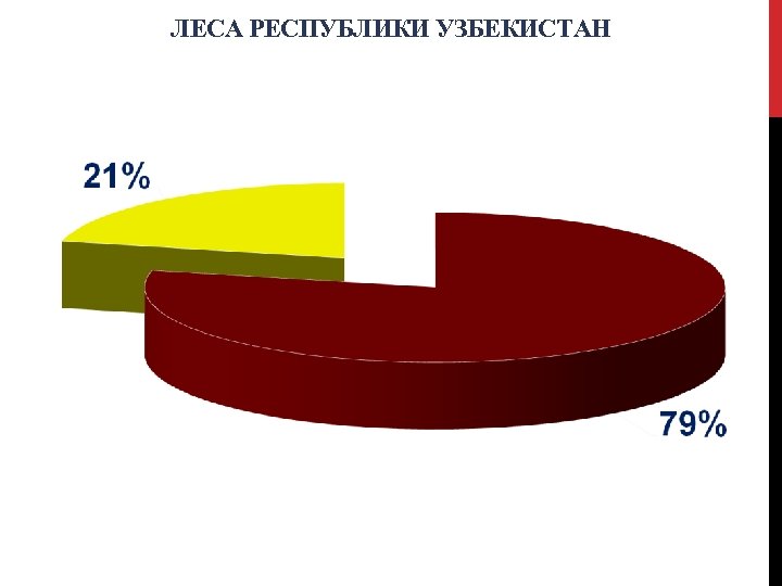 ЛЕСА РЕСПУБЛИКИ УЗБЕКИСТАН 