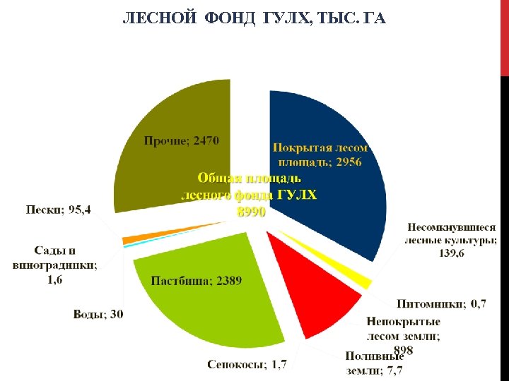 Картинки лесной фонд