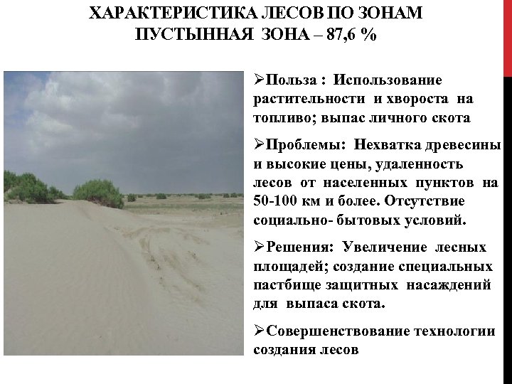 ХАРАКТЕРИСТИКА ЛЕСОВ ПО ЗОНАМ ПУСТЫННАЯ ЗОНА – 87, 6 % ØПольза : Использование растительности