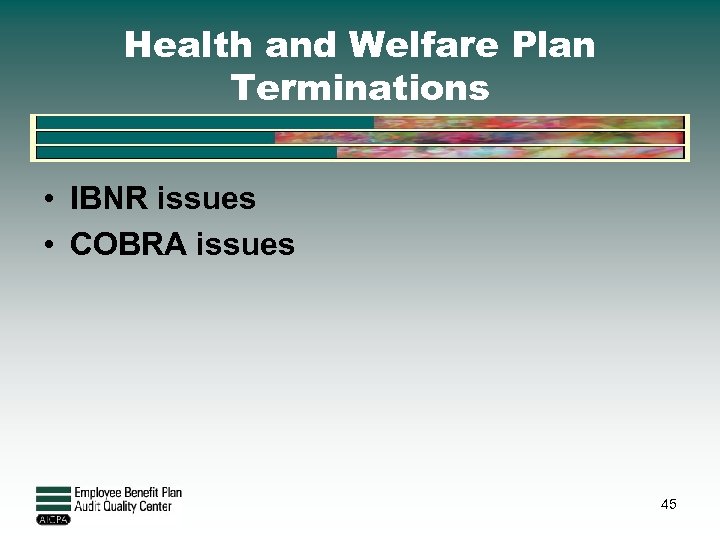 Health and Welfare Plan Terminations • IBNR issues • COBRA issues 45 