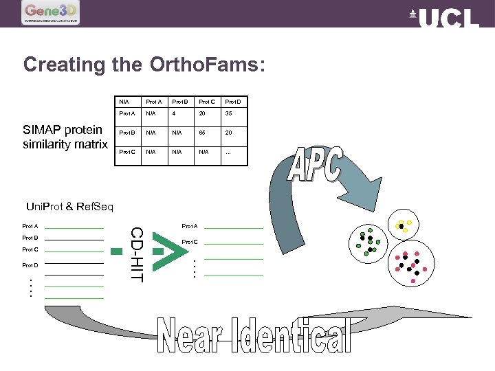 Creating the Ortho. Fams: N/A Prot B Prot C Prot D Prot A SIMAP