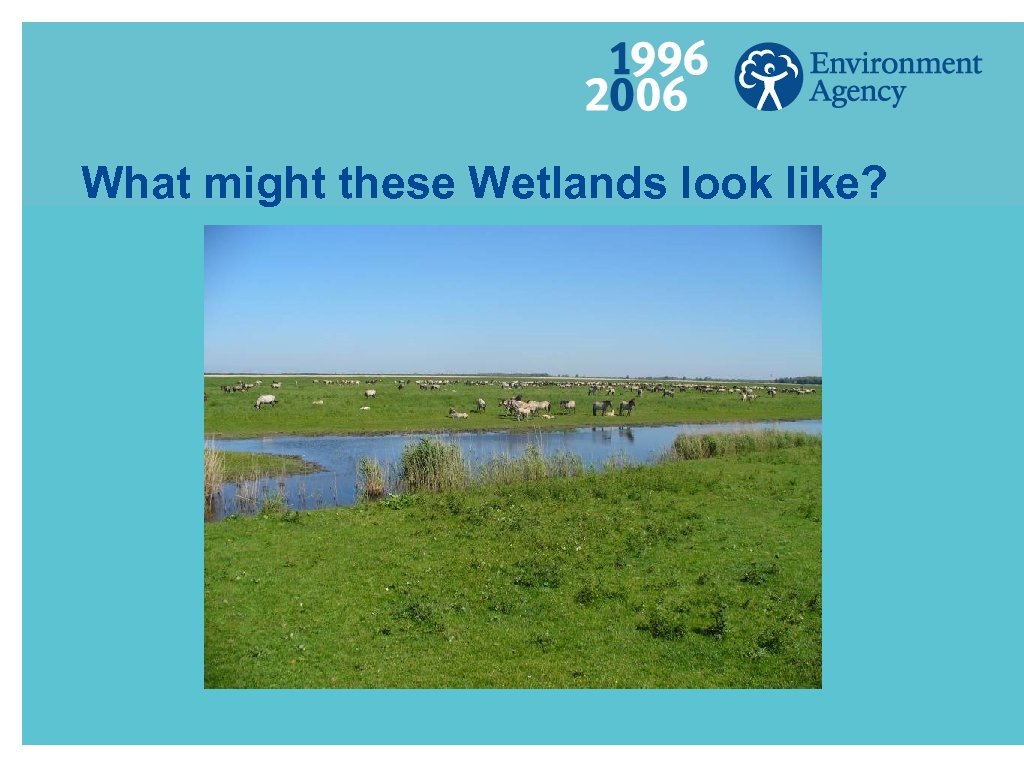 What might these Wetlands look like? 