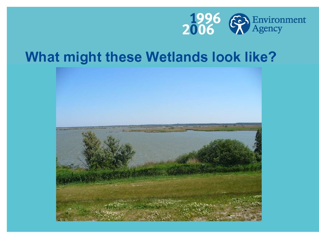 What might these Wetlands look like? 