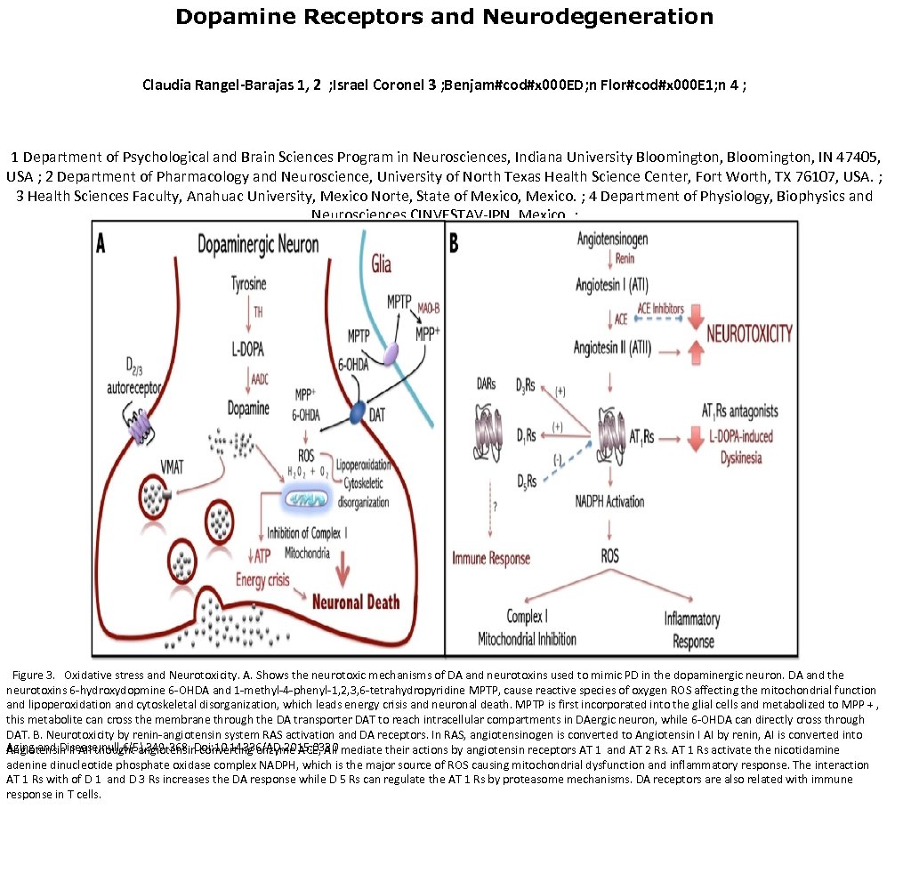 Dopamine Receptors and Neurodegeneration Claudia Rangel-Barajas 1, 2 ; Israel Coronel 3 ; Benjam#cod#x