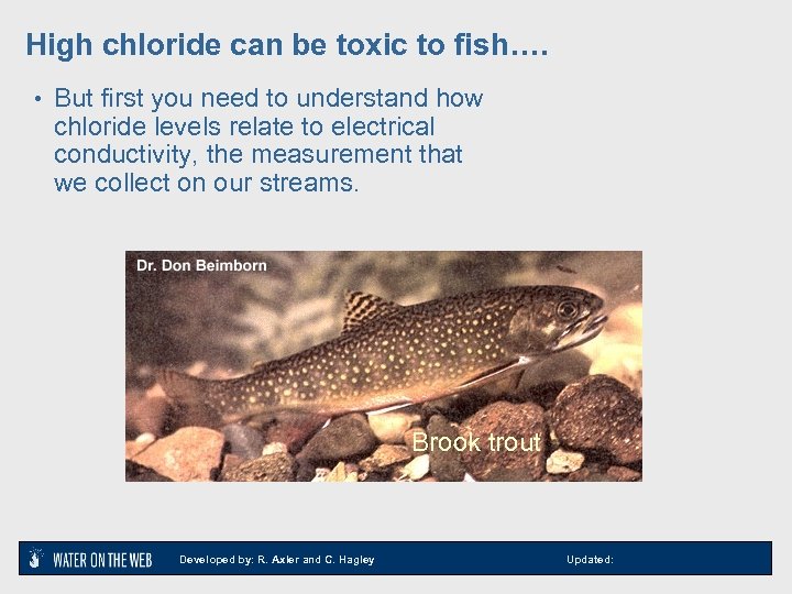 High chloride can be toxic to fish…. • But first you need to understand