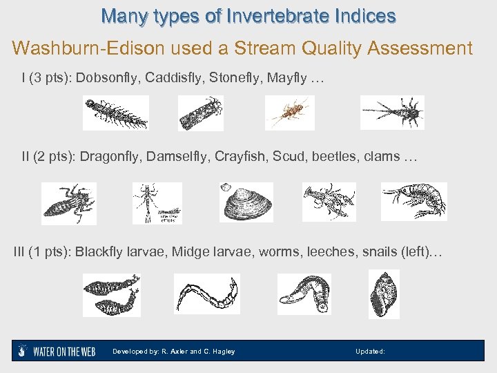 Many types of Invertebrate Indices Washburn-Edison used a Stream Quality Assessment I (3 pts):