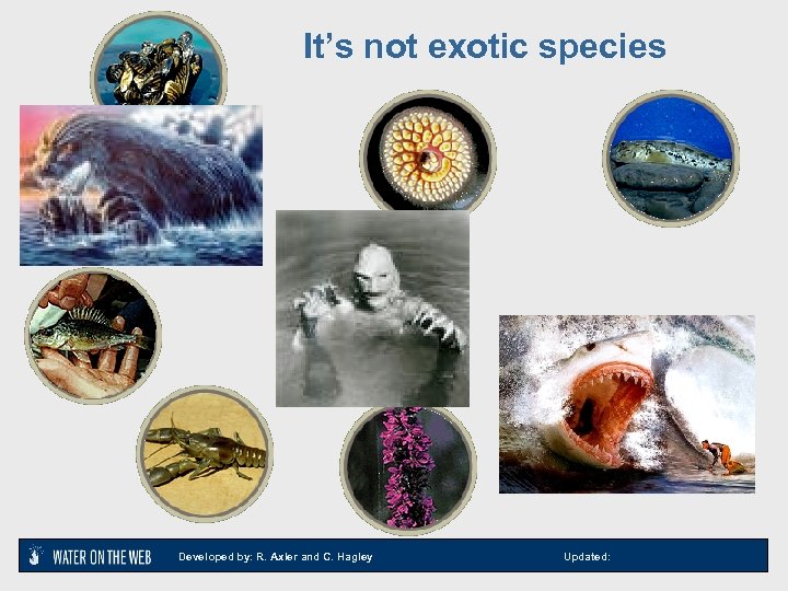 It’s not exotic species Developed by: R. Axler and C. Hagley Updated: 