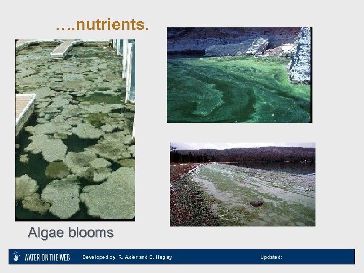 …. nutrients. Algae blooms Developed by: R. Axler and C. Hagley Updated: 