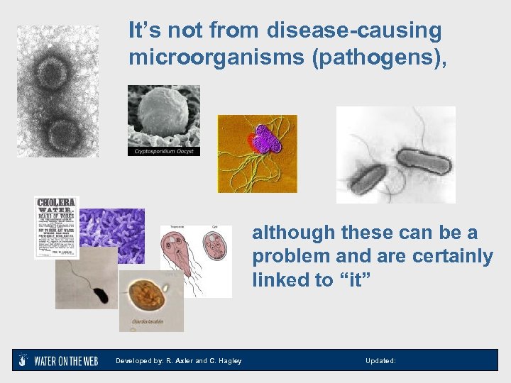 It’s not from disease-causing microorganisms (pathogens), although these can be a problem and are