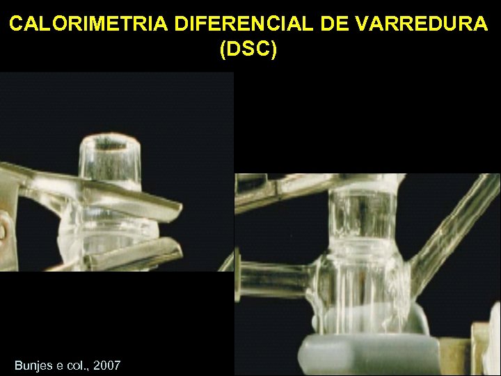 CALORIMETRIA DIFERENCIAL DE VARREDURA (DSC) Bunjes e col. , 2007 