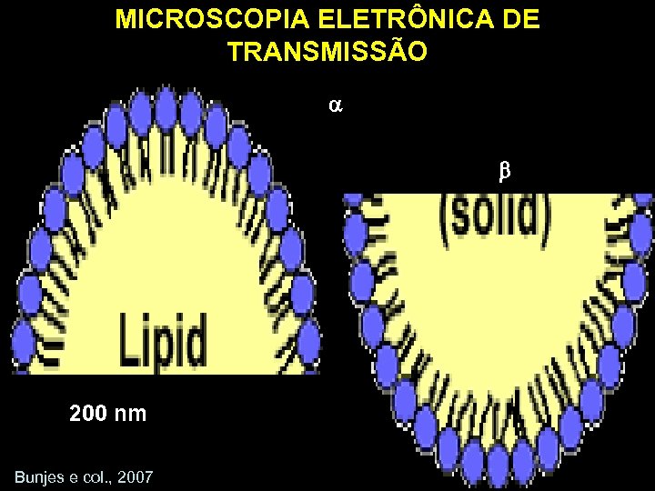 MICROSCOPIA ELETRÔNICA DE TRANSMISSÃO 200 nm Bunjes e col. , 2007 