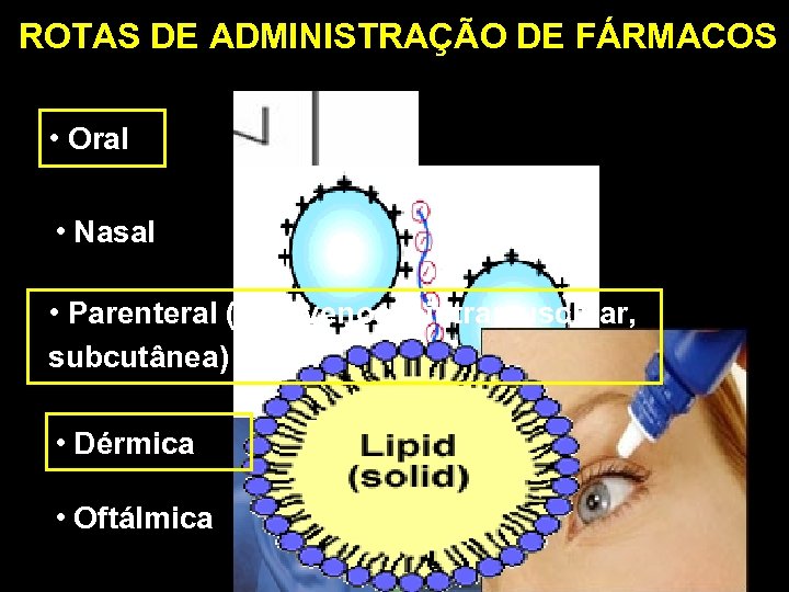 ROTAS DE ADMINISTRAÇÃO DE FÁRMACOS • Oral • Nasal • Parenteral (intravenosa, intramuscular, subcutânea)