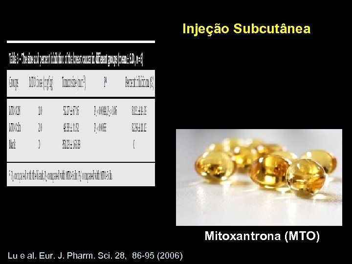 Injeção Subcutânea Mitoxantrona (MTO) Lu e al. Eur. J. Pharm. Sci. 28, 86 -95