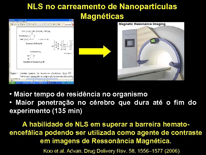NLS no carreamento de Nanopartículas Magnéticas • Maior tempo de residência no organismo •