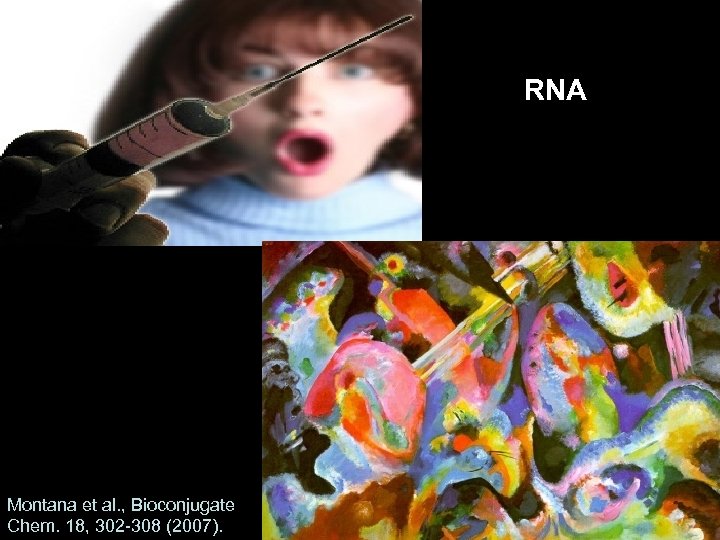 RNA Montana et al. , Bioconjugate Chem. 18, 302 -308 (2007). 