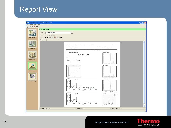 Report View 37 