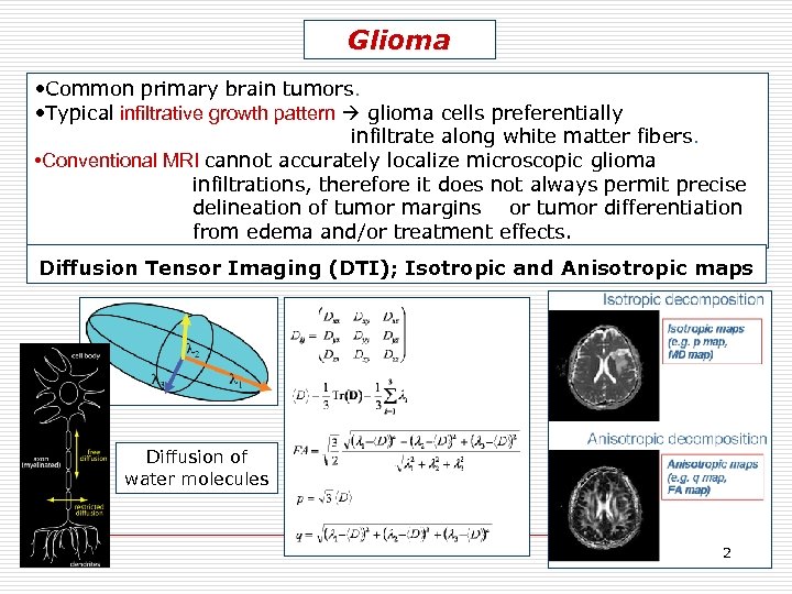 Glioma • Common primary brain tumors. • Typical infiltrative growth pattern glioma cells preferentially