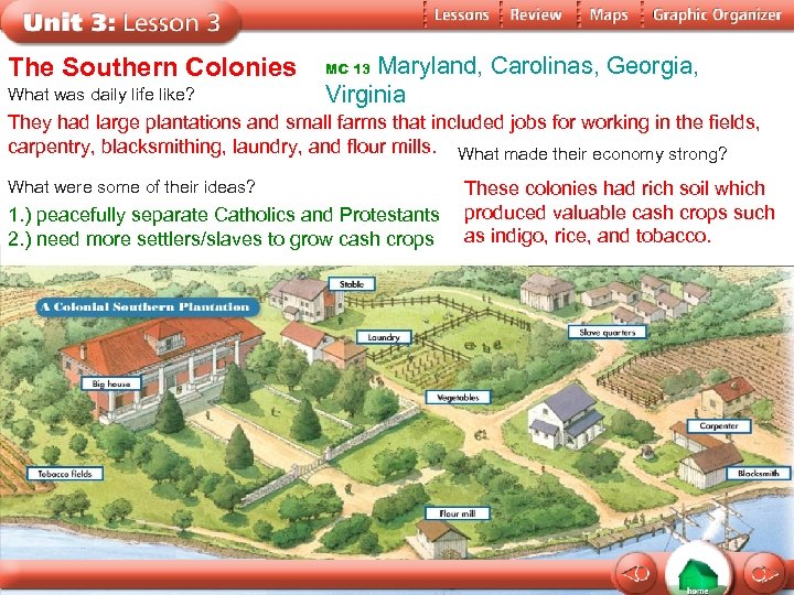 The Southern Colonies What was daily life like? Maryland, Carolinas, Georgia, Virginia MC 13