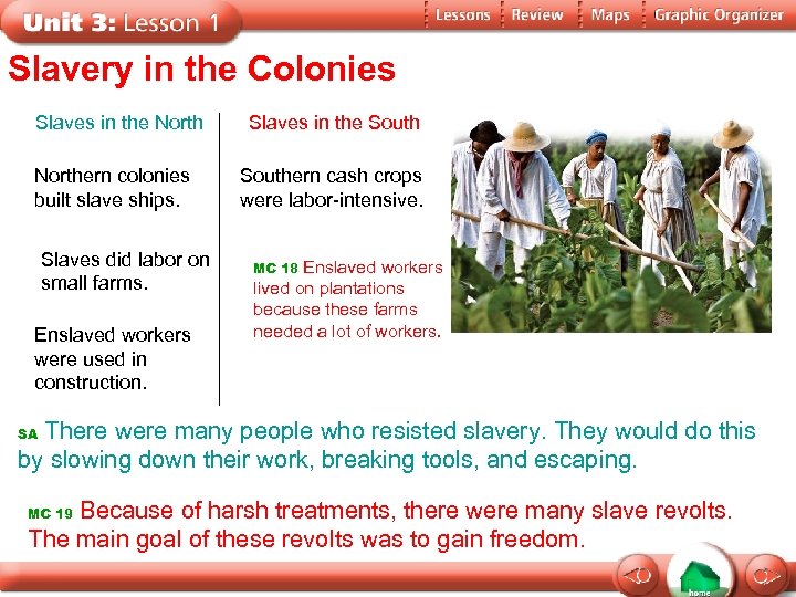 Slavery in the Colonies Slaves in the Northern colonies built slave ships. Slaves did