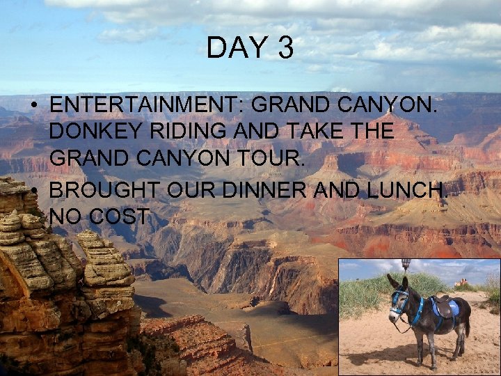 DAY 3 • ENTERTAINMENT: GRAND CANYON. DONKEY RIDING AND TAKE THE GRAND CANYON TOUR.