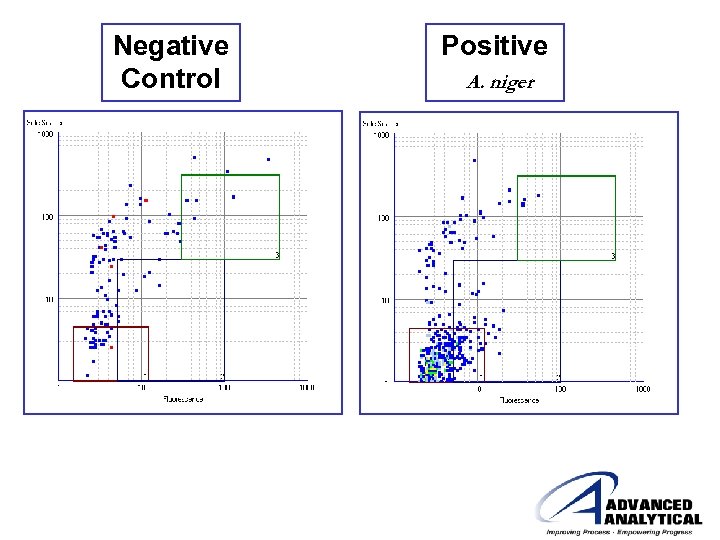 Negative Control Positive A. niger 