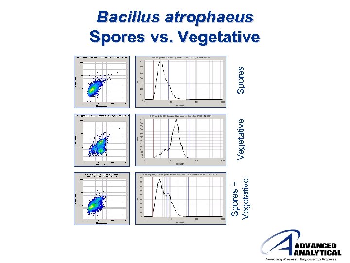 Spores + Vegetative Spores Bacillus atrophaeus Spores vs. Vegetative 