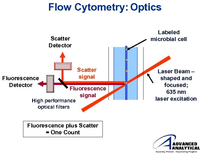 Flow Cytometry: Optics Labeled microbial cell Scatter Detector Fluorescence Detector Scatter signal Fluorescence signal