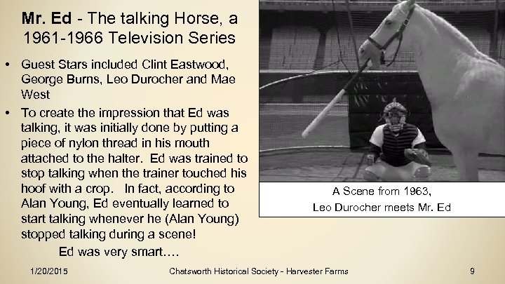 Mr. Ed - The talking Horse, a 1961 -1966 Television Series • Guest Stars