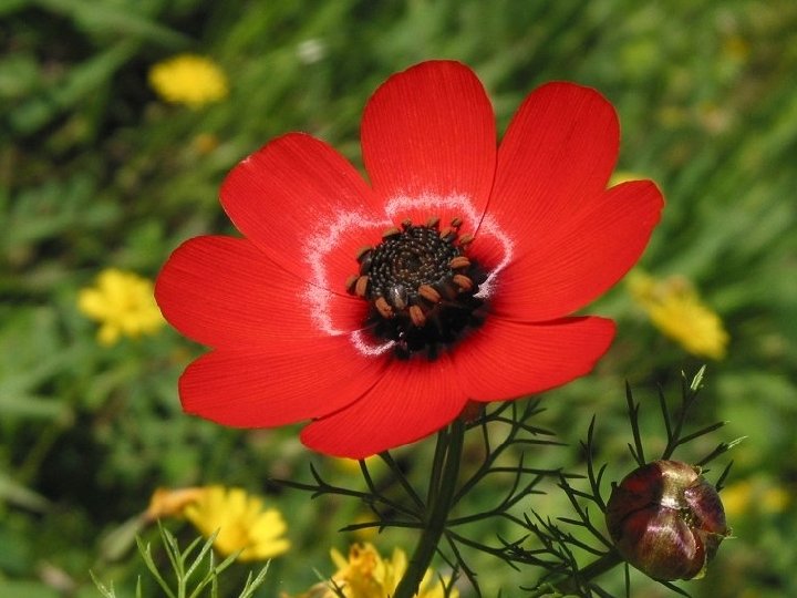 Israel PPS Designed & Edited by: AZV 2 Don’t Click 