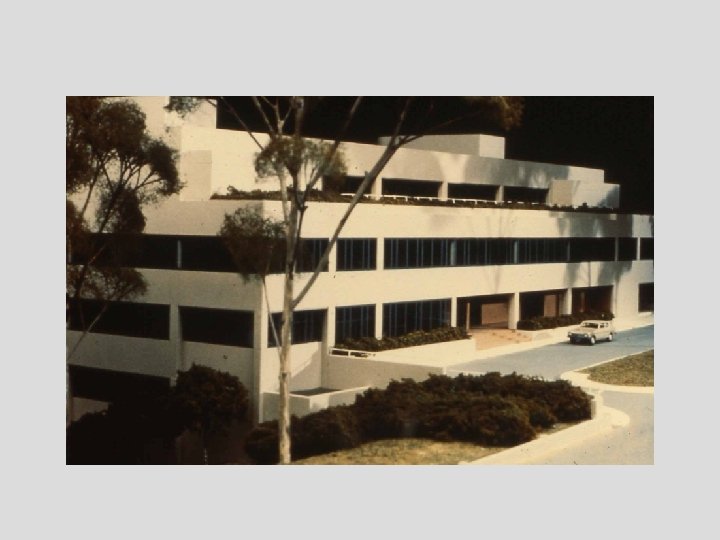 Model of the STSc. I 