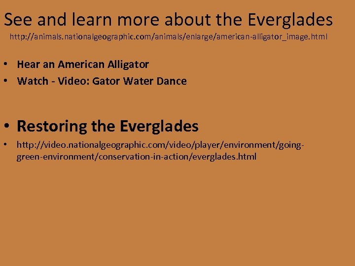 See and learn more about the Everglades http: //animals. nationalgeographic. com/animals/enlarge/american-alligator_image. html • Hear
