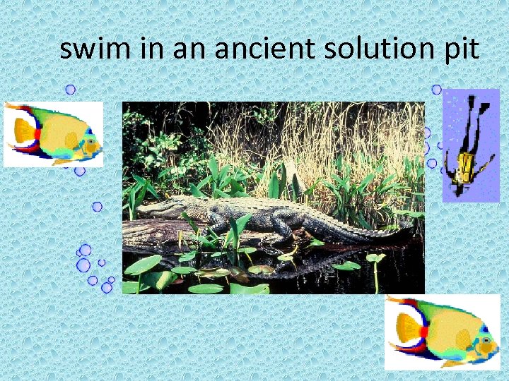 swim in an ancient solution pit 