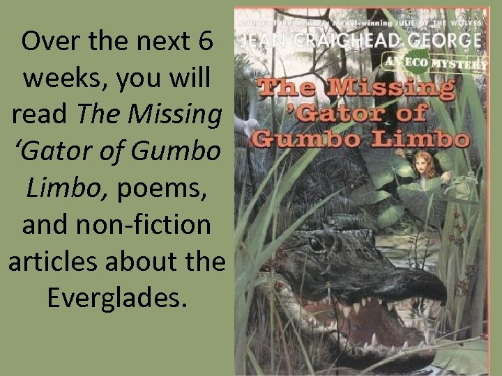 Over the next 6 weeks, you will read The Missing ‘Gator of Gumbo Limbo,
