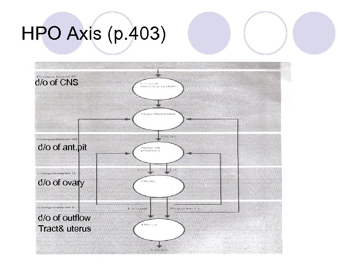 HPO Axis (p. 403) d/o of CNS d/o of ant. pit d/o of ovary